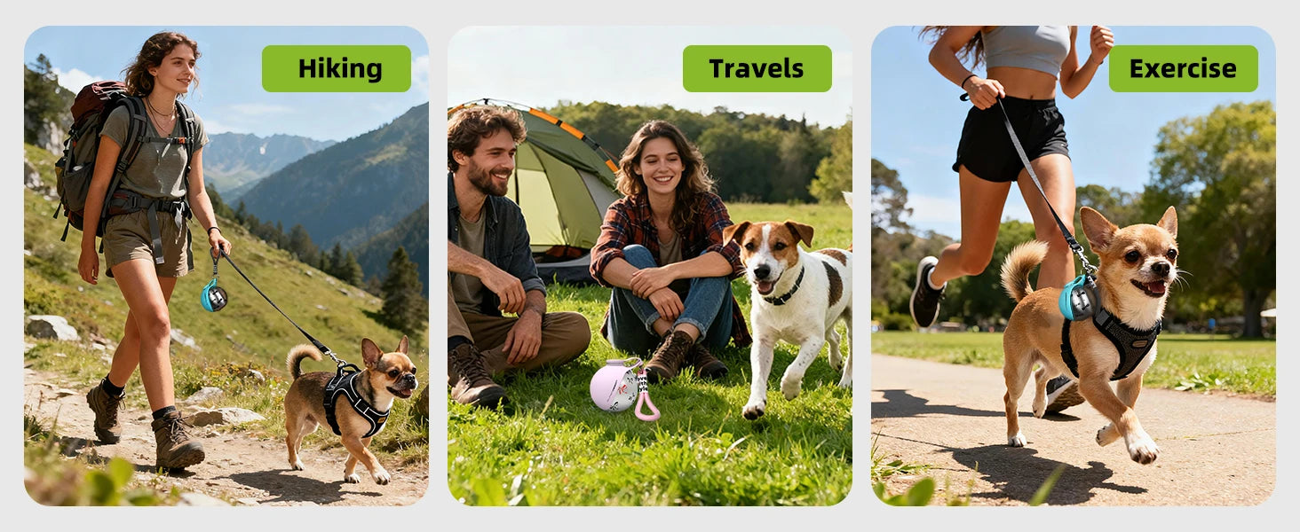 Hunde-Trinkflasche 2-in-1 Edelstahl – Auslaufsicher & Kompakt