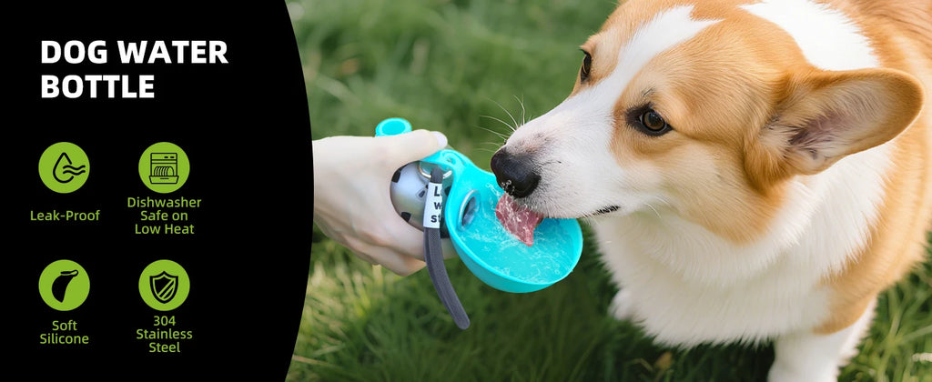 Hunde-Trinkflasche 2-in-1 Edelstahl – Auslaufsicher & Kompakt