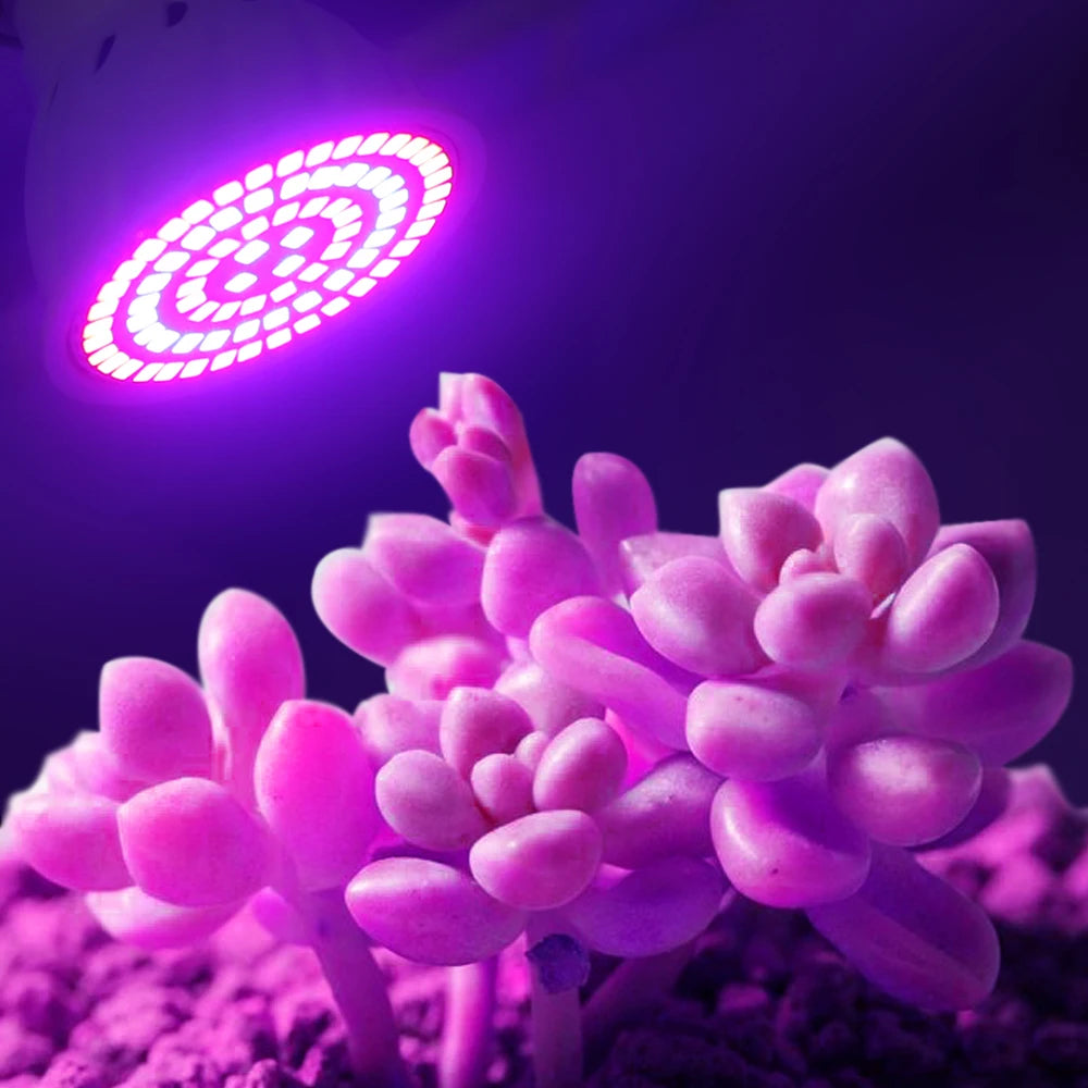 LED Pflanzenlampe E27 – Vollspektrum, 60/80 LEDs & Indoor