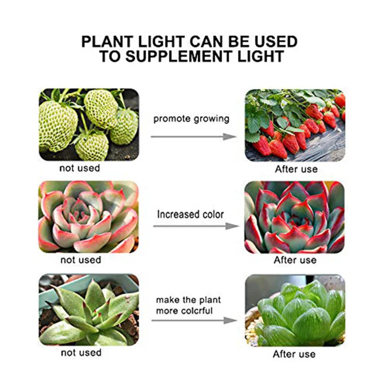 LED Pflanzenlampe E27 – Vollspektrum, 60/80 LEDs & Indoor