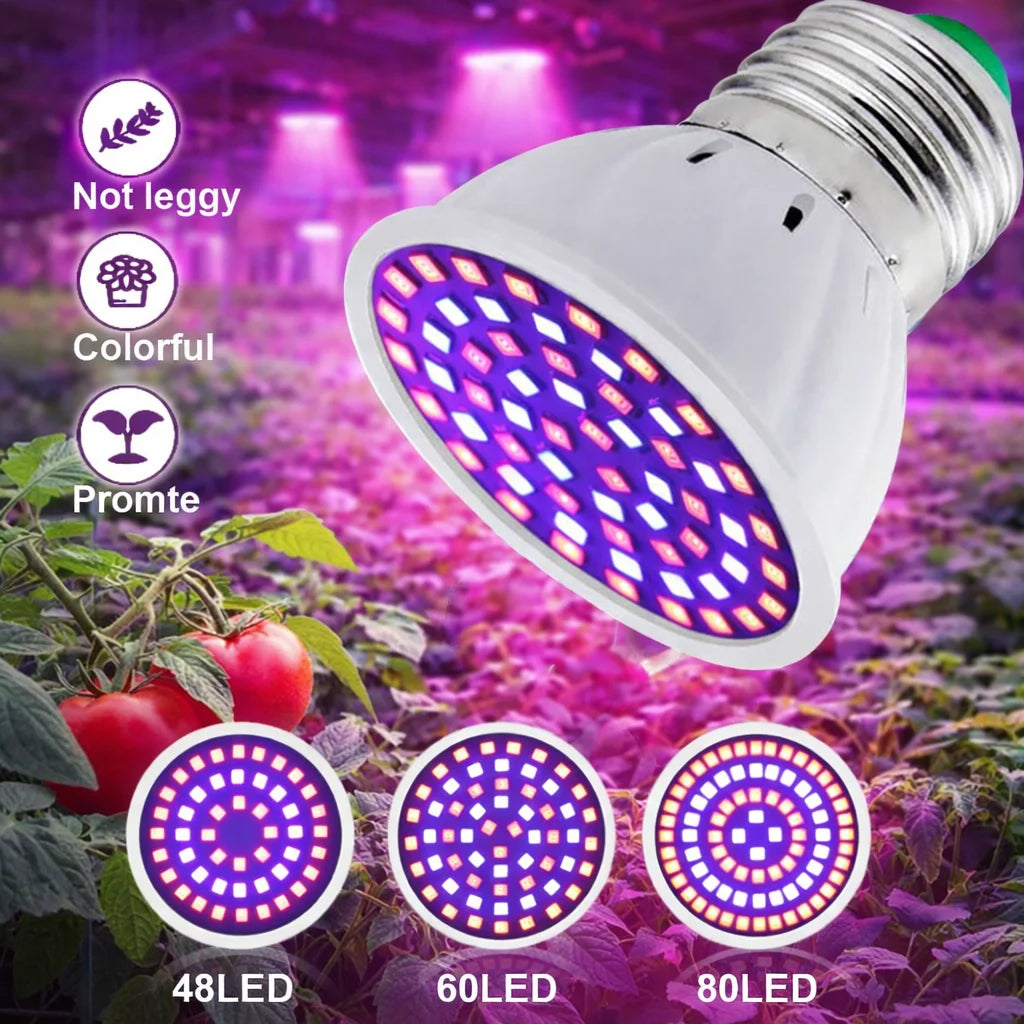 LED Pflanzenlampe E27 – Vollspektrum, 60/80 LEDs & Indoor