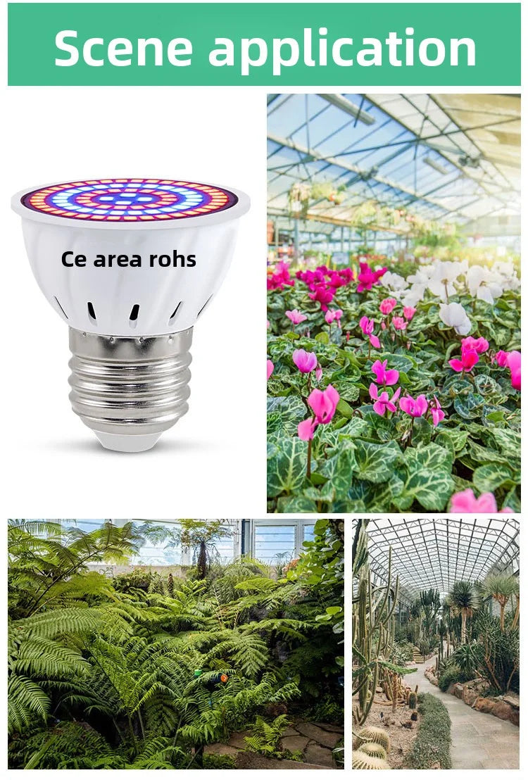 LED Pflanzenlampe E27 – Vollspektrum, 60/80 LEDs & Indoor