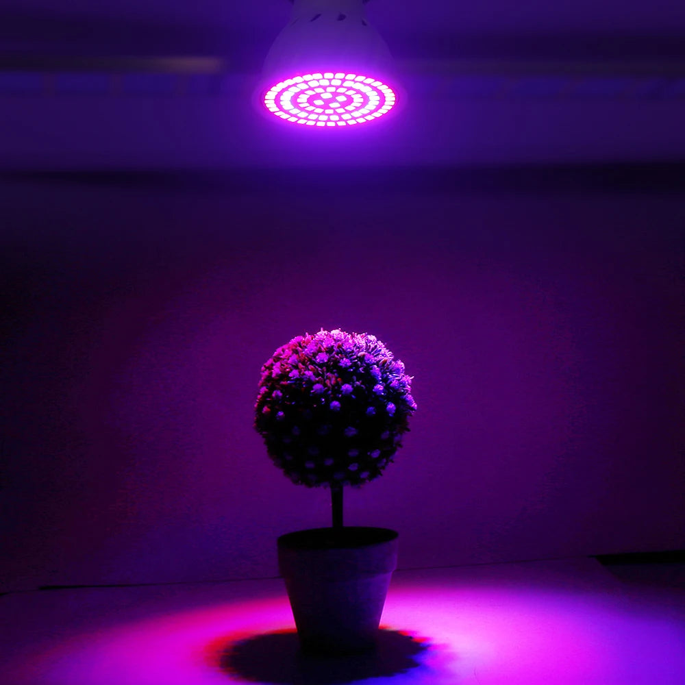 LED Pflanzenlampe E27 – Vollspektrum, 60/80 LEDs & Indoor