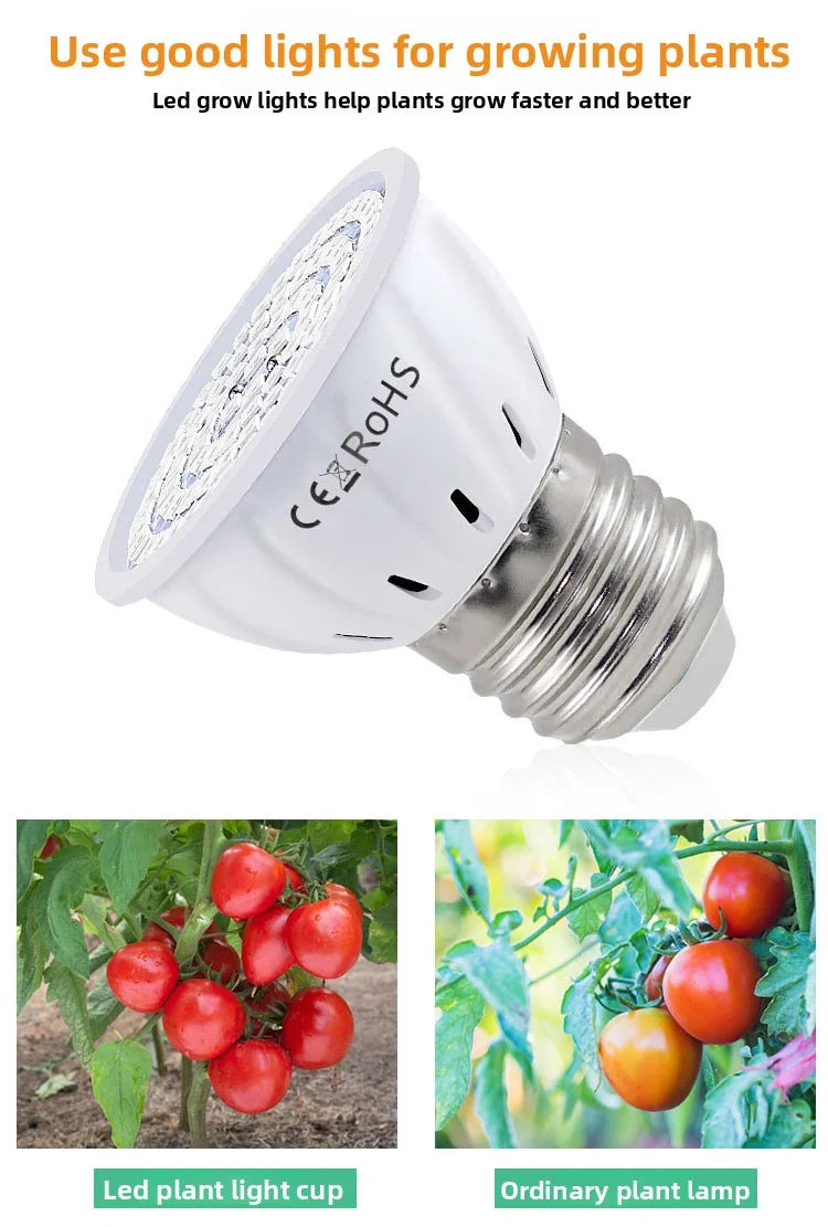 LED Pflanzenlampe E27 – Vollspektrum, 60/80 LEDs & Indoor