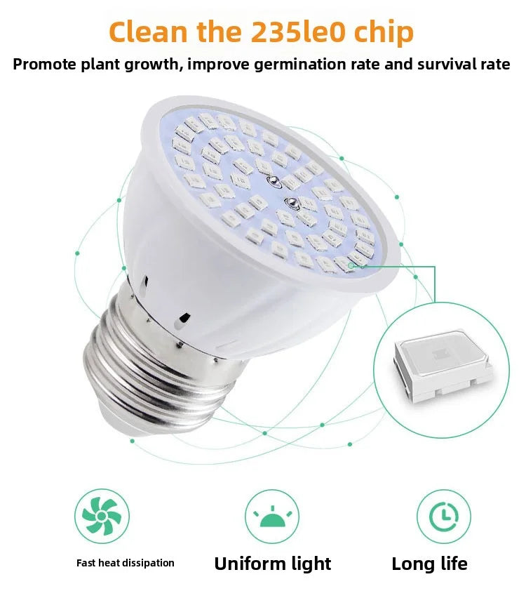 LED Pflanzenlampe E27 – Vollspektrum, 60/80 LEDs & Indoor