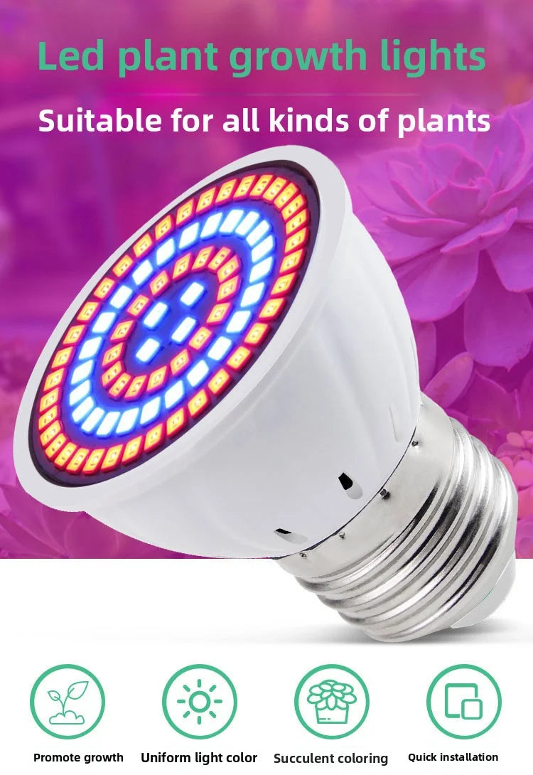 LED Pflanzenlampe E27 – Vollspektrum, 60/80 LEDs & Indoor
