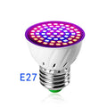 LED Pflanzenlampe E27 – Vollspektrum, 60/80 LEDs & Indoor