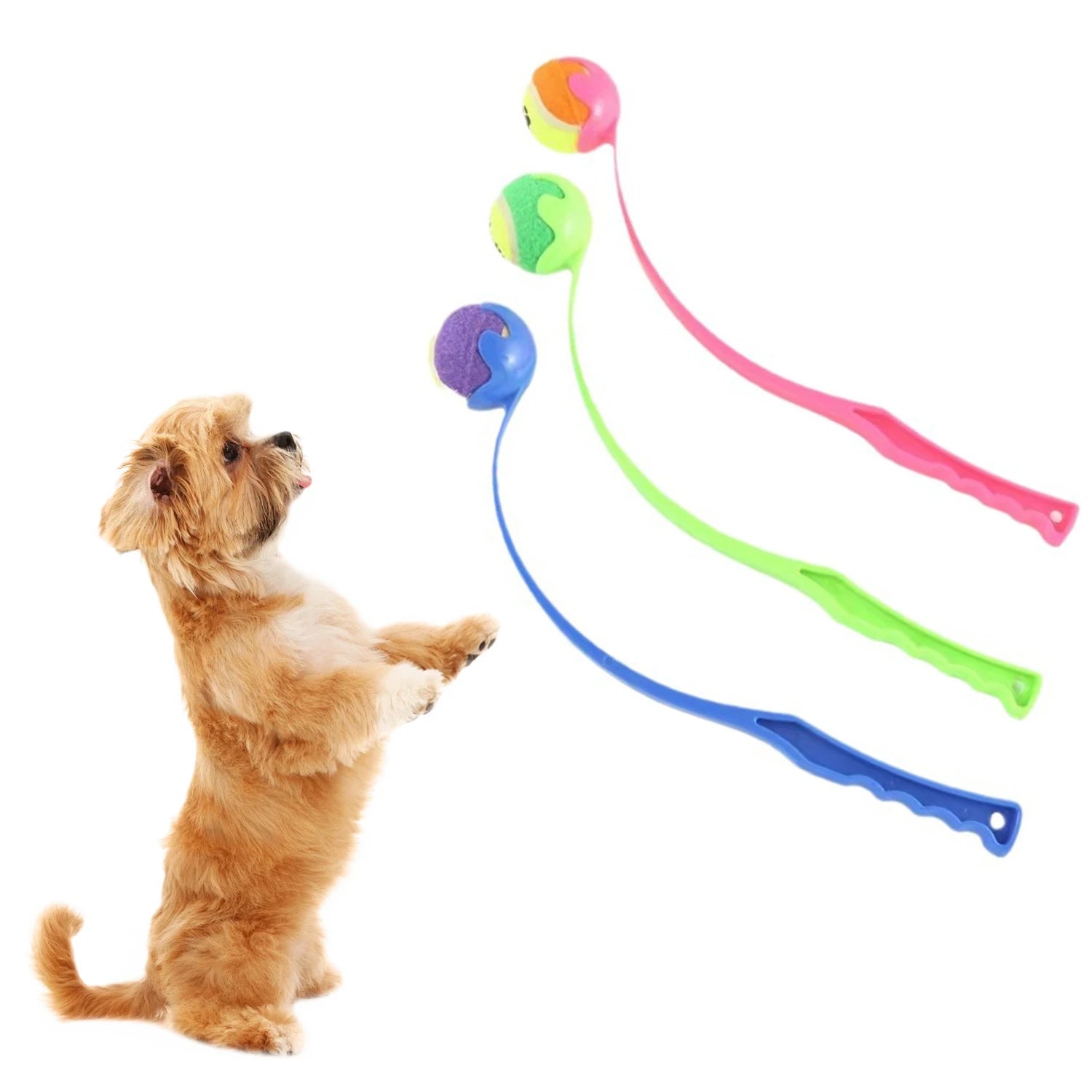 Tennisball-Werfer für Hunde – manuell & hygienisch